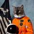 Astrocat